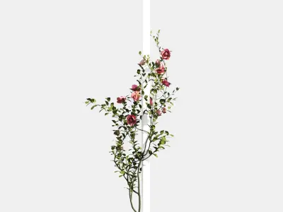rose flower 3D model