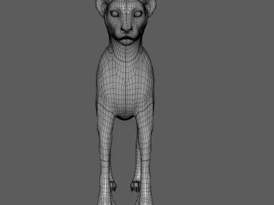 Cheetah - body with RIG 3D model