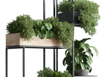 stand plant box collection Indoor plant  wooden and metal vase 3D model