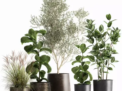 Houseplants in a flowerpot for the interior 1029 3D model