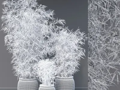 Bamboo Plant Set 3D model