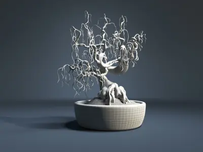 Bonsai tree in pot 3D model