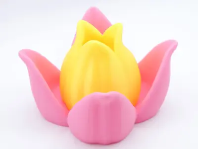 Multifunctional Lotus Flower 3D print model