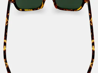 Samir Sunglasses in Black Oak Tortoise 3D model