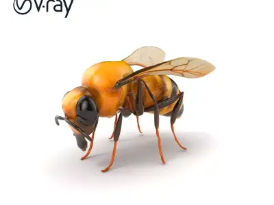 Dwarf Bee Intricate Detail Model Pack Low-poly 3D model