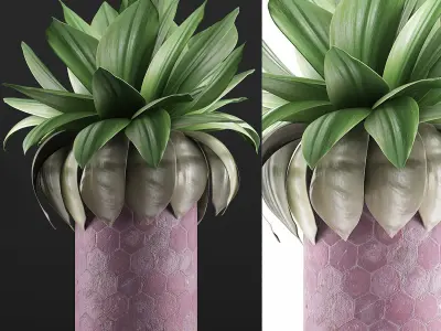 Plants Collection 101 3D model
