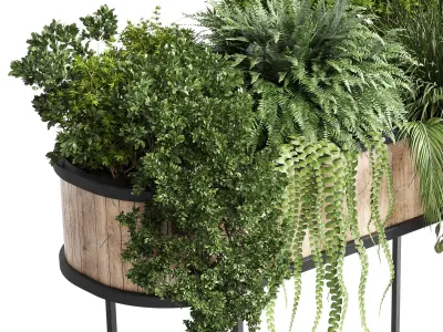 stand plant box Indoor plant 184 wood vase pot fern grass 3D model