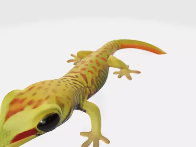 Cute Gecko Lizzard Realistic Model High Poly 3D model