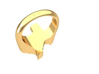 Texas ring 3D print model