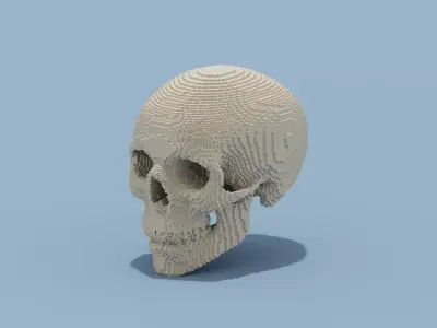 Voxel Skull Low-poly 3D model