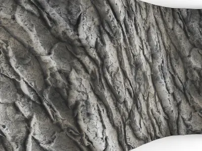 Rock Gray Wall Texture 3D model