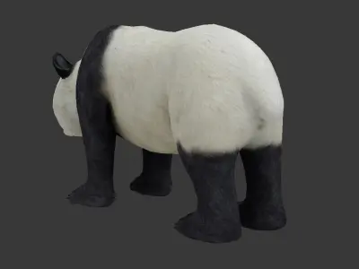 panda bear Low-poly 3D model