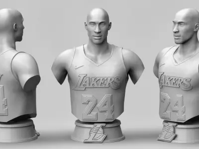 Kobe Bryant 3D Printable 2 3D print model