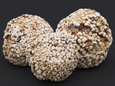 Rocks - Photogrammetry Scanned 3D Models 3D Model Collection