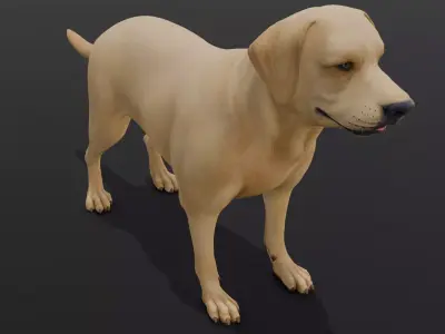Dog Animated and Rigged Low-poly 3D model