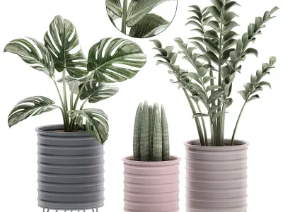  Decorative plants in pots on a stand for the interior 529 3D model