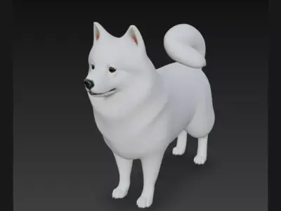 American Eskimo Dog 3D Model 3D model