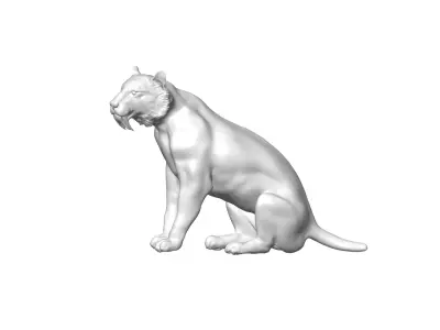 BARBOUROFELIS 3D model