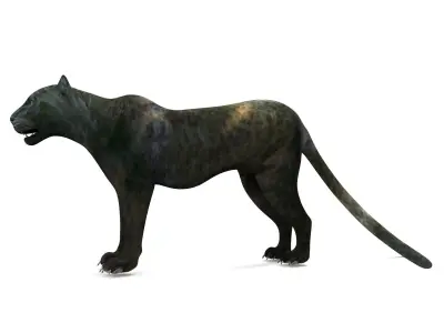 Panther 3D Models game ready low poly model Low-poly 3D model