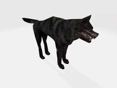 wolf 3d 3D model