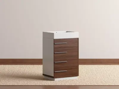 Barca Vanity 3D model