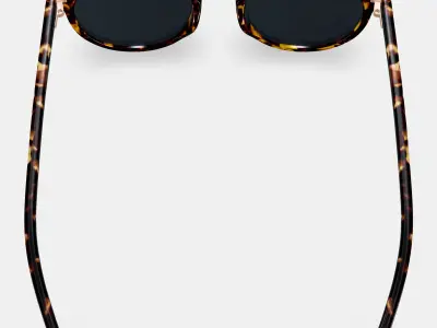 Cooper Sunglasses in Black Oak Tortoise with Polished Gold 3D model