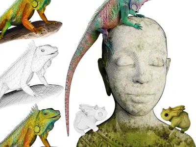 Hunter iguana on rock 3D model