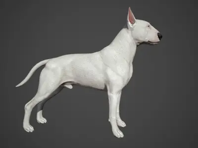 Bull Terrier Real-Time Low-poly 3D model