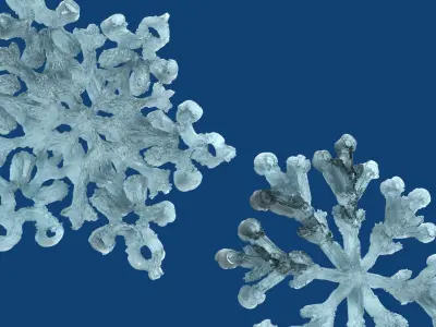3D Ice Snowflake 3D model