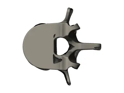 Spinal vertebrae 3D print model