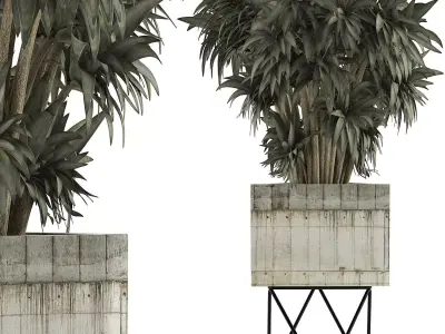Plants Collection 80 3D model