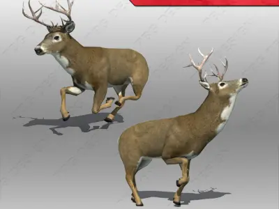 Deer Animated Low-poly 3D model