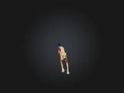 Realistic Bleeding Cheetah Model Low-poly 3D model