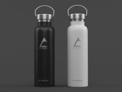 Water Bottle 3D model