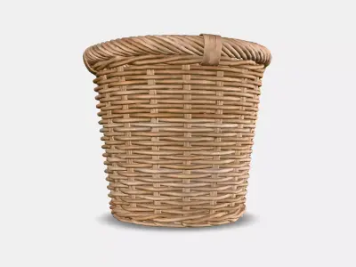 KAKTUSFIKON planter 3D model