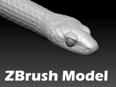 Garter Snake Zbrush Model 3D model