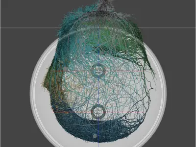 Art Decoration Maze of thoughts Daz 3D model