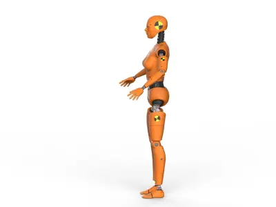 Crash Test Dummy  Robot Android  3D model Female 3D model