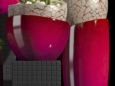 PLANTS SET vases with succulents 3D model