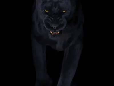 Black Panther ANIMATED Xgen core 3D model