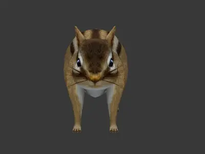 Squirrel chipmunk Low-poly 3D model