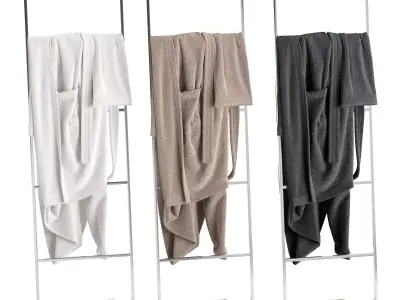Bathrobe Hanging Set 08 3D model
