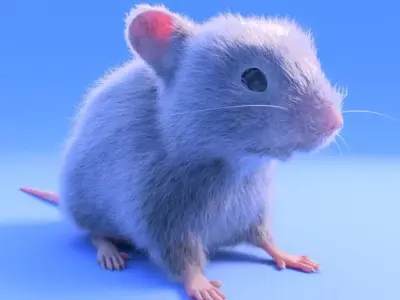 Mouse- realistic style - White fur - rigged Low-poly 3D model