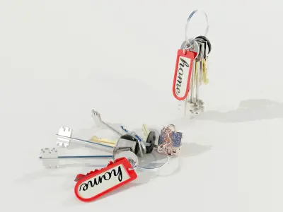 Bunch of Keys 3D model