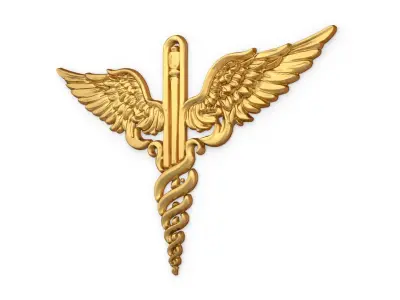 Relief Caduceus carved 01 3D model