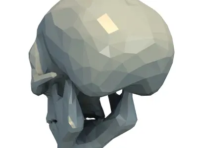 Skull Low Poly 3D print model