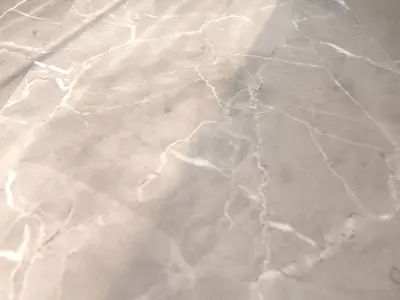 Marble Floor Elegant Greige 120x240 Texture