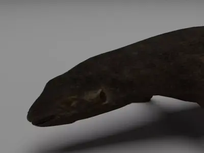 Low Poly Komodo Dragon Low-poly 3D model