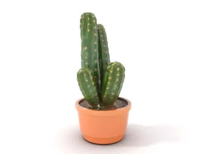 Spiky Green Cactus model pack Low-poly 3D model