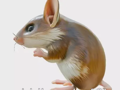 Adorable Cartoon Mouse Character Model Low-poly 3D model